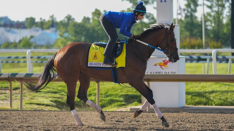 Where to watch the Black-Eyed Susan Stakes: Channel, time, TV schedule, live stream for 2026 horse race
