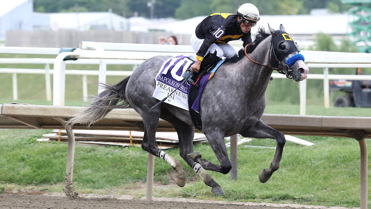 Napoleon Solo Turns It All Around In Preakness Stakes Napoleon Solo Turns It All Around In Preakness Stakes