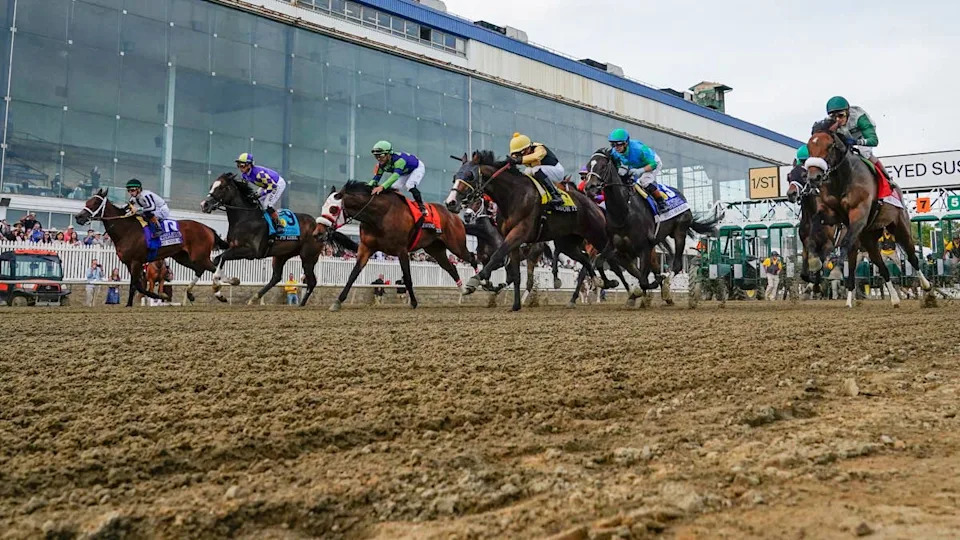 Preakness Stakes 2026 Weather Forecast and Track Conditions Before Race Day Preakness Stakes 2026 Weather Forecast and Track Conditions Before Race Day