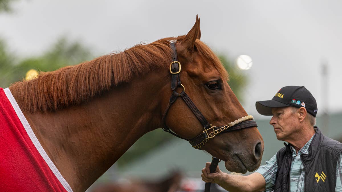 The Puma’s Next Pounce Will Be The Haskell Stakes The Puma’s Next Pounce Will Be The Haskell Stakes