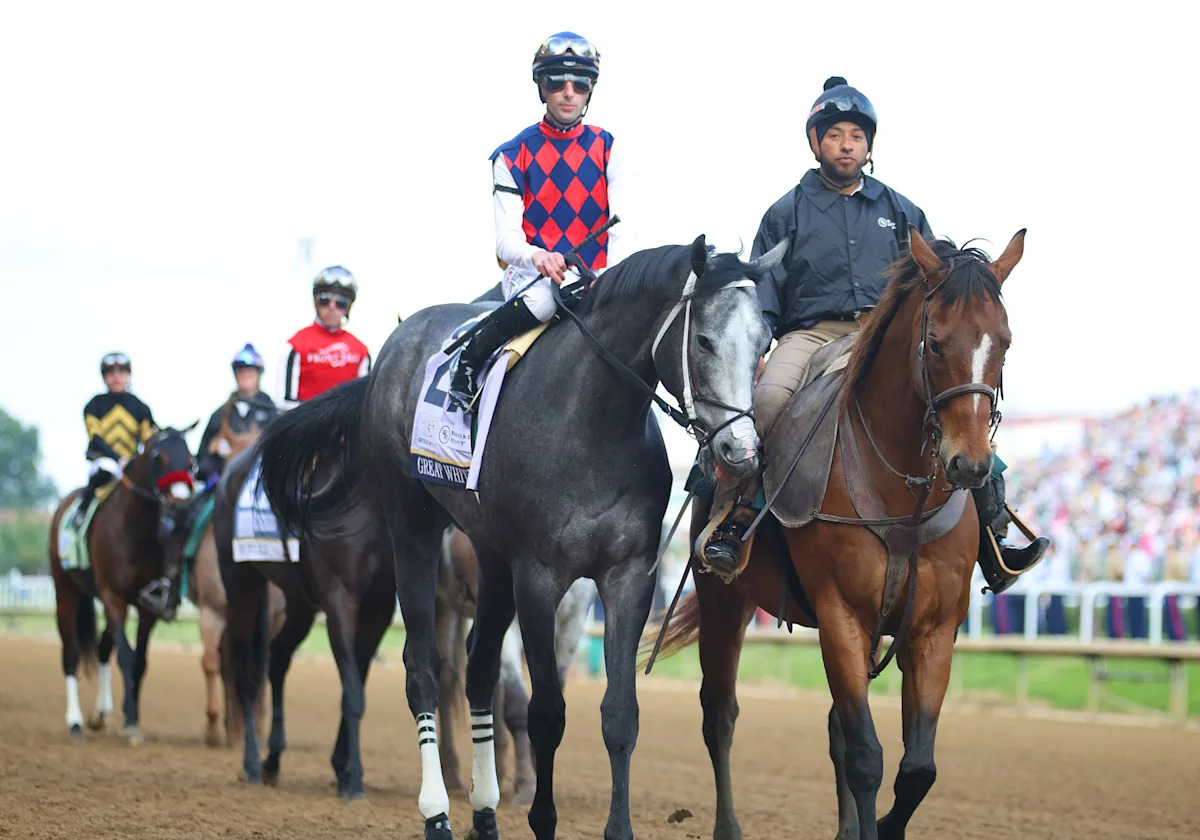 Kentucky Derby 2026: Great White, a late scratch, is fine after rolling and throwing jockey minutes before race Kentucky Derby 2026: Great White, a late scratch, is fine after rolling and throwing jockey minutes before race