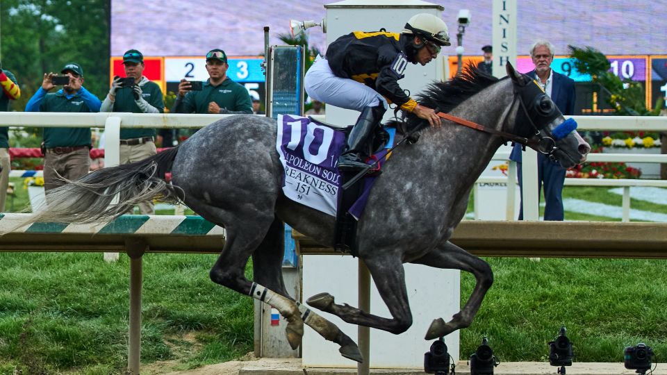 Napoleon Solo wins the Preakness Stakes in a come-from-behind victory Napoleon Solo wins the Preakness Stakes in a come-from-behind victory
