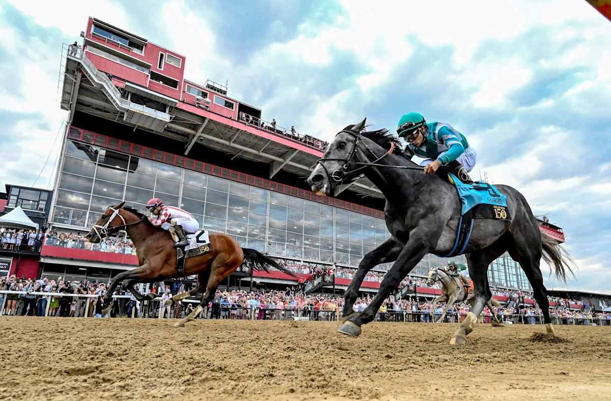 Preakness Stakes draw, opening odds: 14-horse field won't include Kentucky Derby winner Golden Tempo