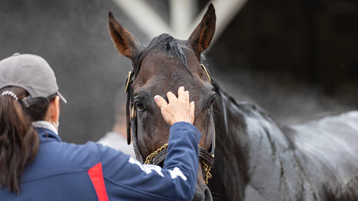 Advice From Dad: Riley Mott Talks Last-Minute Preakness Decision With Incredibolt
