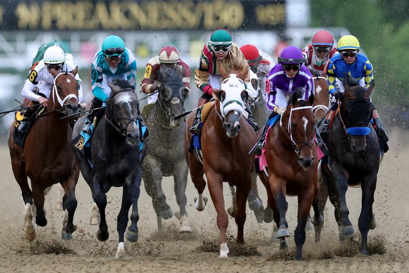 Preakness draw: Brittany Russell eyes 'Triple Crown' for female trainers with Taj Mahal Preakness draw: Brittany Russell eyes 'Triple Crown' for female trainers with Taj Mahal