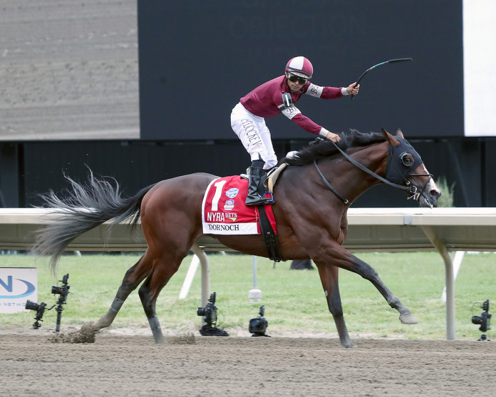 'Full Of Energy': First Foal Is A Colt For Belmont Stakes Winner Dornoch