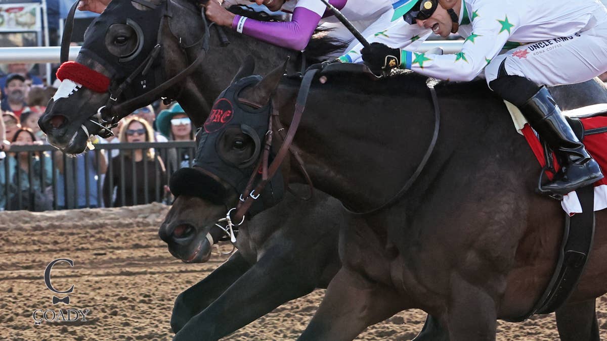 Preakness Hopefuls: Express Kid 'Going The Right Direction,' 'Not Much Downside' For Bull By The Horns