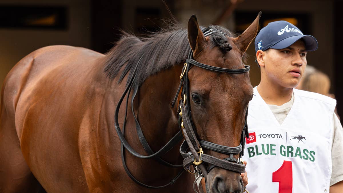 Preakness Update: Patience Pays Off For Trainer Danny Gargan Preakness Update: Patience Pays Off For Trainer Danny Gargan