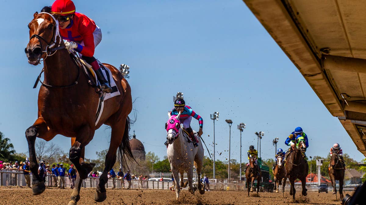 Braken Poppa Puts Win Streak On Line In Black-Eyed Susan
