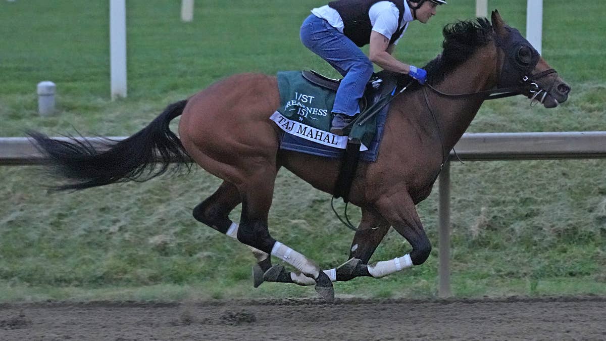 Preakness Update: Taj Mahal Pleases In Final Breeze At Laurel Park