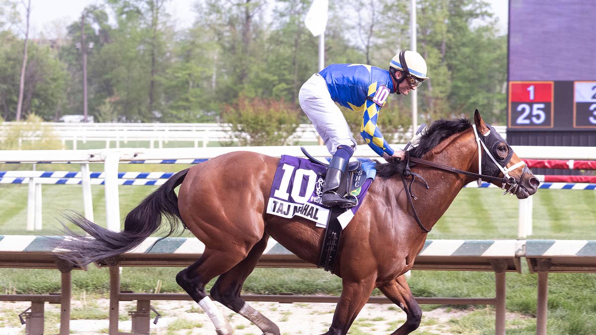 Undefeated Local Favorite Taj Mahal Targets Preakness