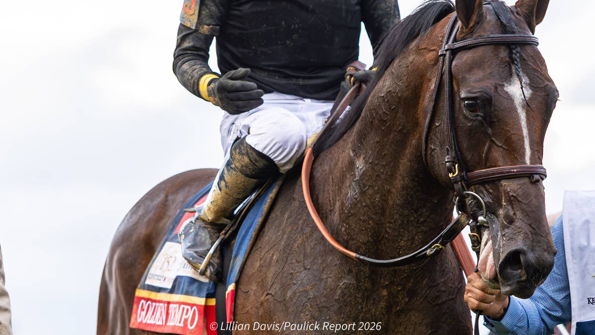 Bloodlines Presented By Walmac Farm: The Classic Family Of Kentucky Derby Winner Golden Tempo