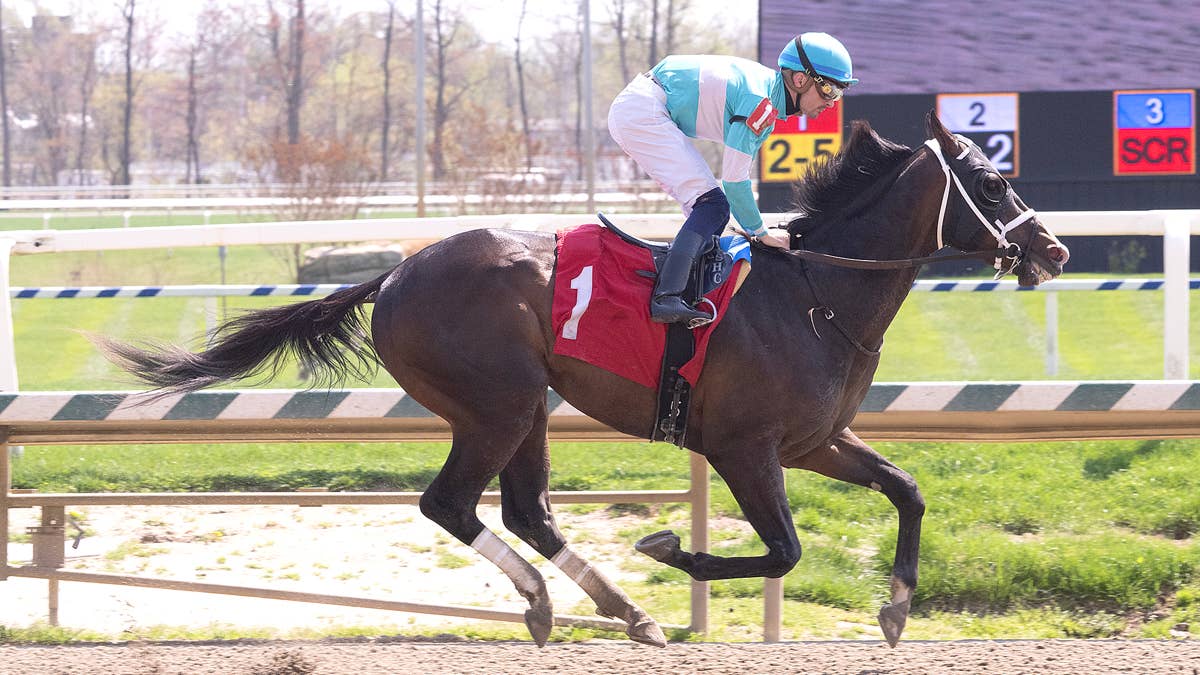 Falcon Jet Soaring into Sir Barton Off Maiden Triumph