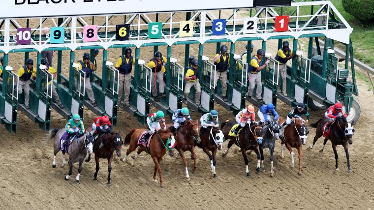 Preakness Stakes payout breakdown: How much prize money will the winner get in 2026?