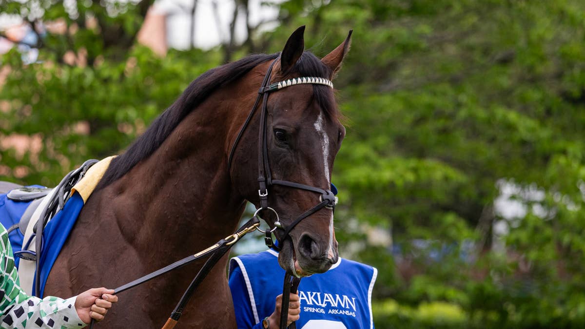 Sovereignty Anchors Busy Saturday Work Tab At Saratoga