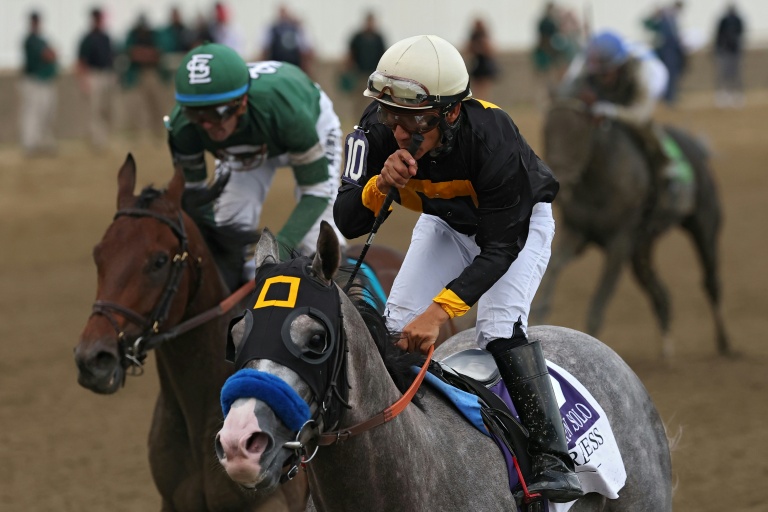 Napoleon Solo wins 151st Preakness Stakes Napoleon Solo wins 151st Preakness Stakes