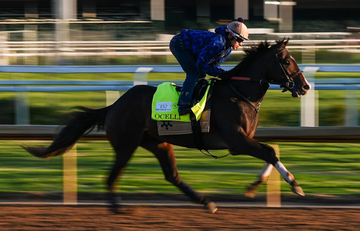 Which Kentucky Derby horses are running in the 2026 Preakness Stakes?