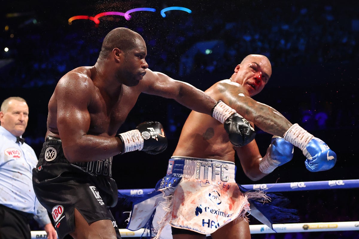 Daniel Dubois&rsquo; next fight set as Fabio Wardley makes rematch decision after defeat