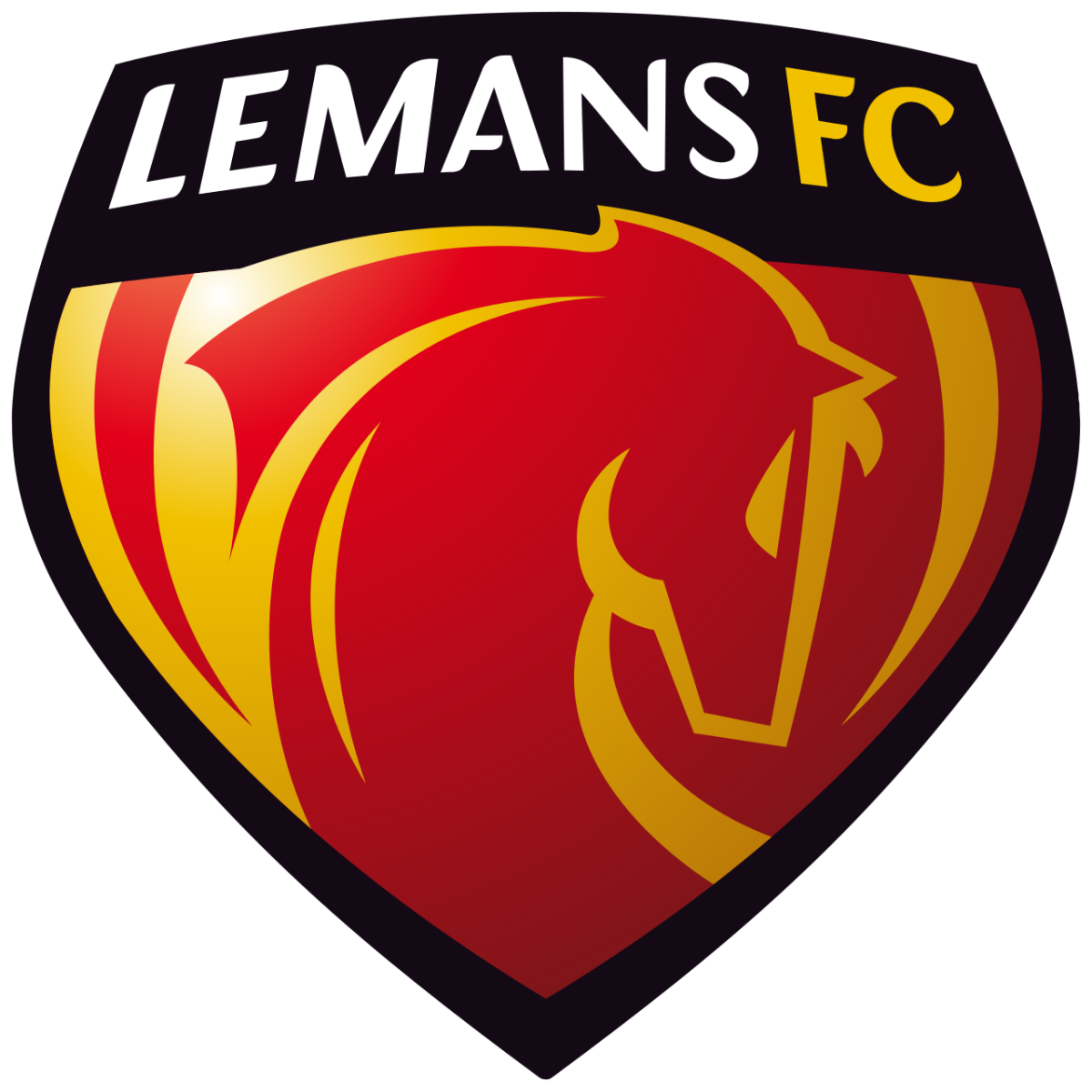 Le Mans&rsquo; Ligue 1 promotion put on hold following abandoned Bastia away game