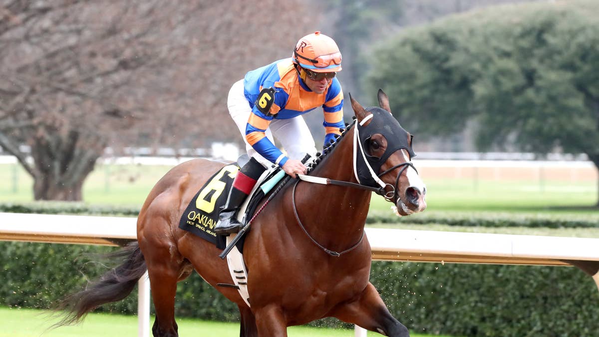 &lsquo;He Can Handle Anything&rsquo;: Obliteration Returns In Chick Lang Stakes