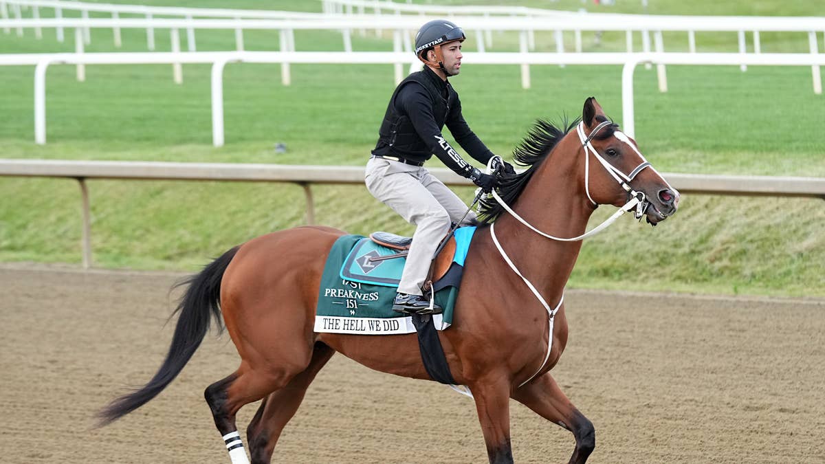 How The Hell Did Preakness Contender The Hell We Did Get His Name? How The Hell Did Preakness Contender The Hell We Did Get His Name?