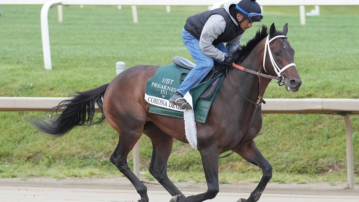 Dallas Stewart Seeks The Longshot Magic Again With Corona De Oro In Preakness Stakes