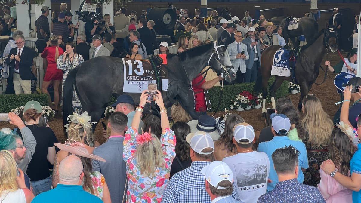 Nearly $107 Million Wagered On Preakness Day At Laurel Park Nearly $107 Million Wagered On Preakness Day At Laurel Park