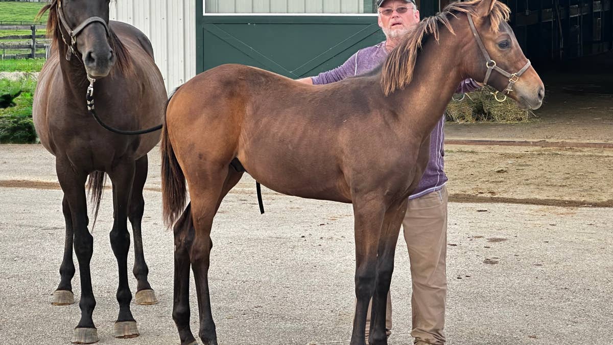 ‘Feel Like I’ve Won The Lottery’: Third-Generation Homebred Crupper Brings Breeder To The Preakness ‘Feel Like I’ve Won The Lottery’: Third-Generation Homebred Crupper Brings Breeder To The Preakness