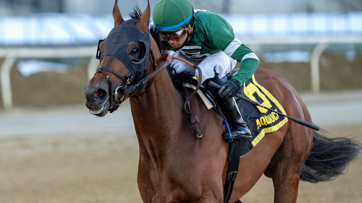 Iron Honor Made 9-2 Favorite For Wide Open Preakness 151 Iron Honor Made 9-2 Favorite For Wide Open Preakness 151