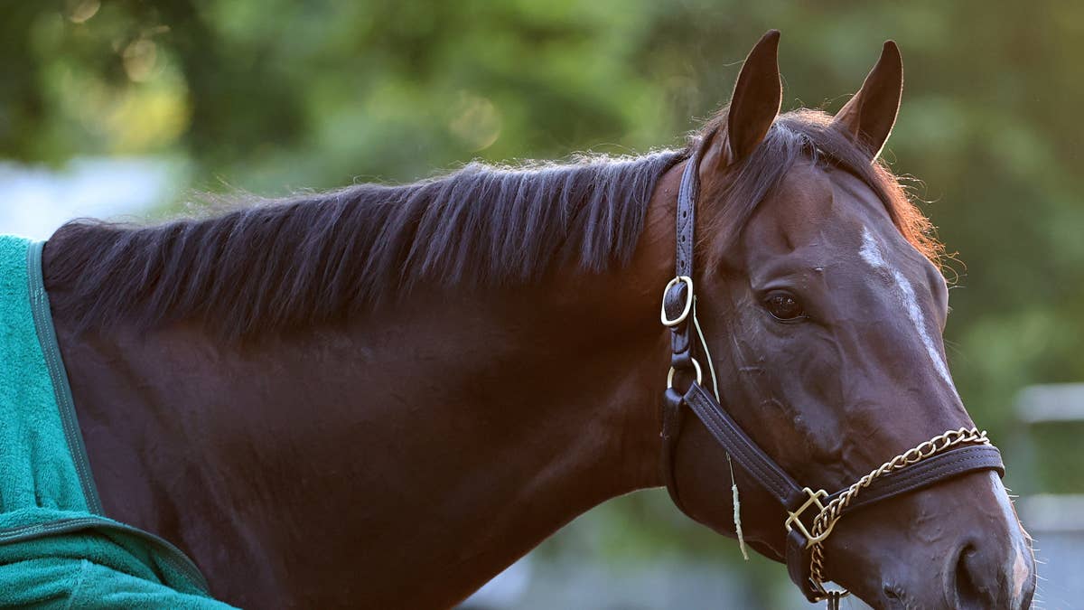 HOY Sovereignty Returns To Saratoga&rsquo;s Oklahoma Training Track