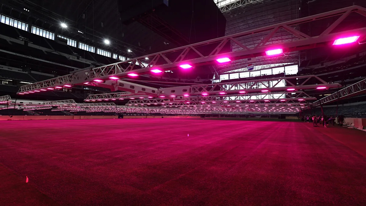 As "Dallas Stadium" moves mountains to install grass, CeeDee Lamb wants it for football As "Dallas Stadium" moves mountains to install grass, CeeDee Lamb wants it for football