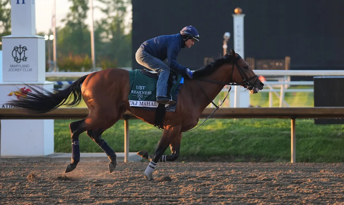 Final Ranking of All 14 Preakness Stakes Horses & Best Bets to Win, Place & Show Tonight