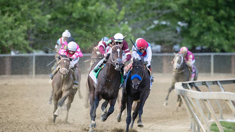 Where Are They Now? Presented By FanDuel Racing: The Preakness Stakes Runners-Up Where Are They Now? Presented By FanDuel Racing: The Preakness Stakes Runners-Up