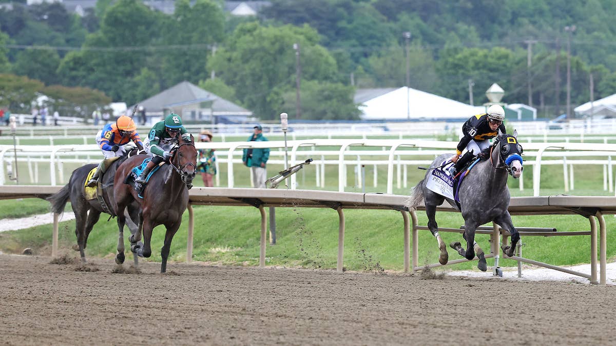 Preakness Victor Napoleon Solo, Runner-Up Iron Honor Likely For Haskell Preakness Victor Napoleon Solo, Runner-Up Iron Honor Likely For Haskell